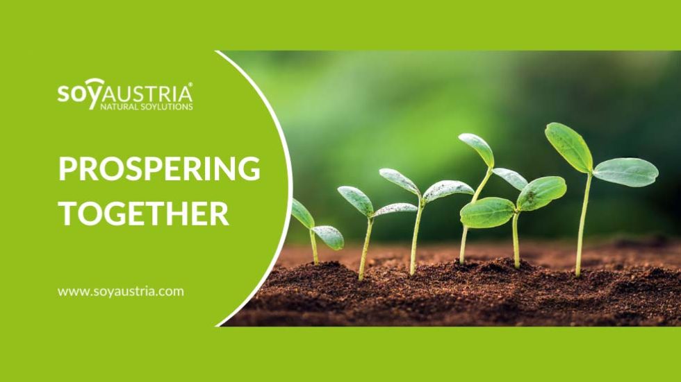 We are looking for distributors! Soy Austria®